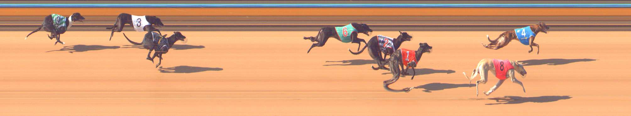 Race result finish photo